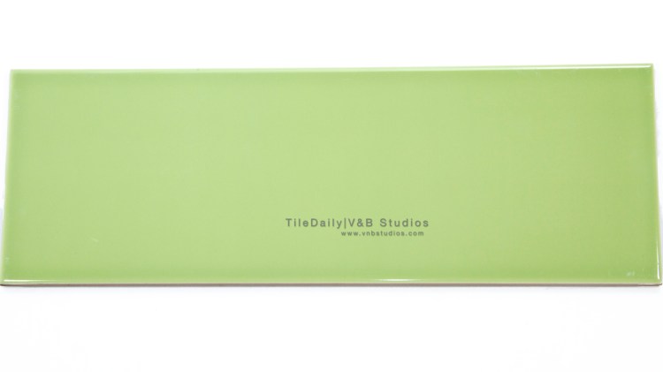 P0035LG - Colori Large Subway Tile, Light Green