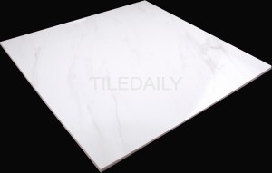 Beautiful 24x24 format Carrara porcelain tile from TileDaily with soft veins and character.