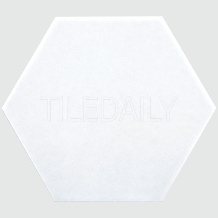 8" Hexagon Porcelain Tile for wall and floor